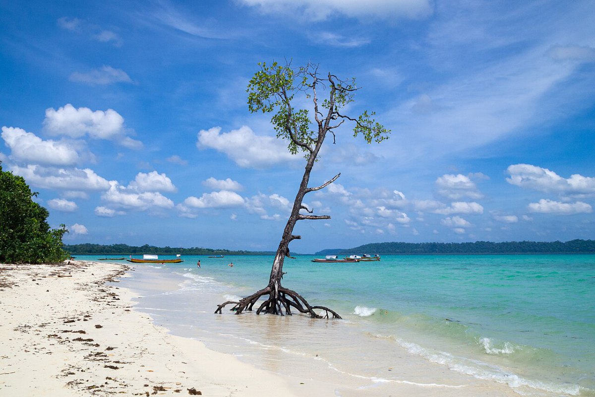 Sea
